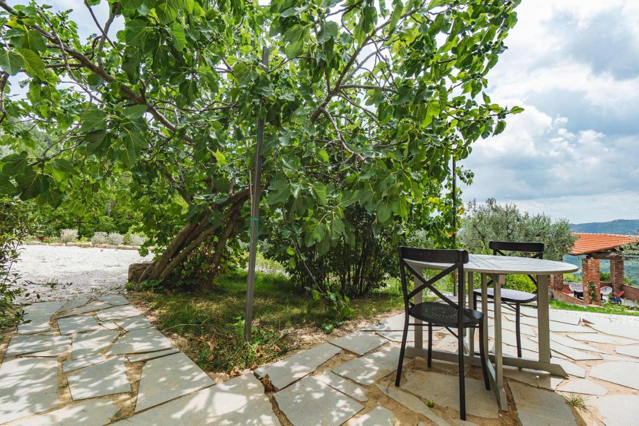 Agriturismo Le Fonti Понтасиеве Екстериор снимка